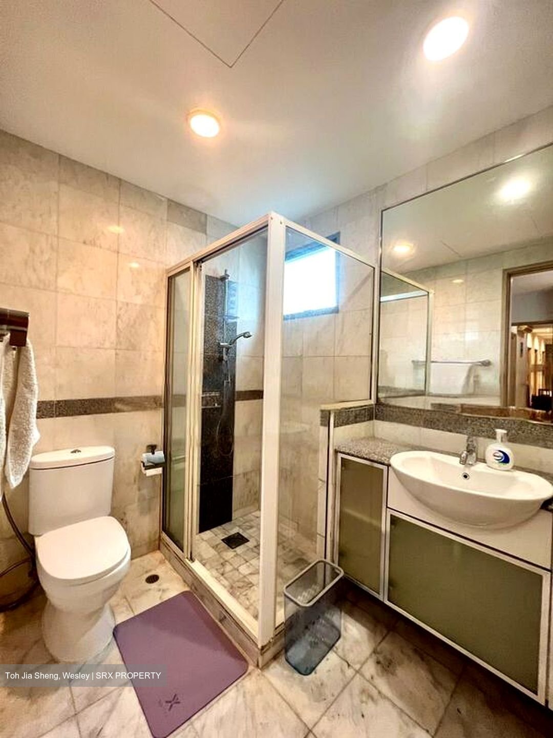 Newton 21 (D11), Apartment #455895651